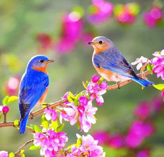 Nurten Tosun-Bahar 090326.jpg